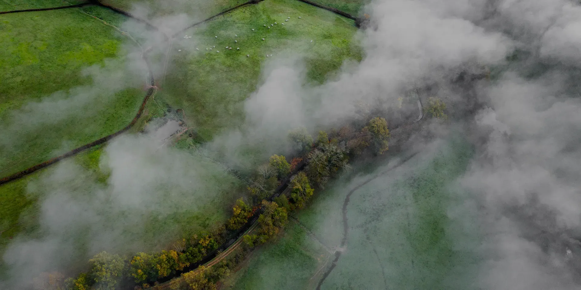 A bird's-eye view of a landscape with green meadows, trees, and fog